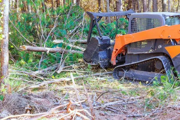 Benefits of Hiring a Tree Removal Company Near Me Today