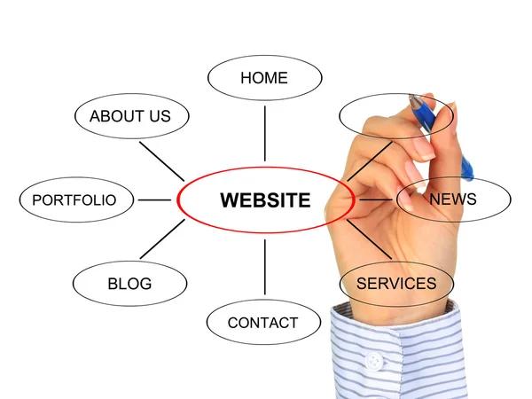 SEO Website Design Services for Small and Growing Businesses