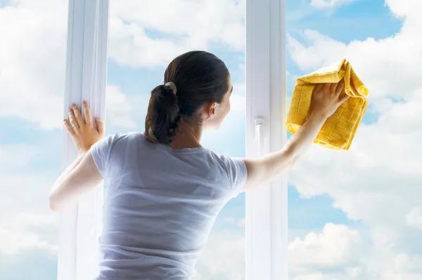 Commercial Window Cleaning Mesa for a Professional Look