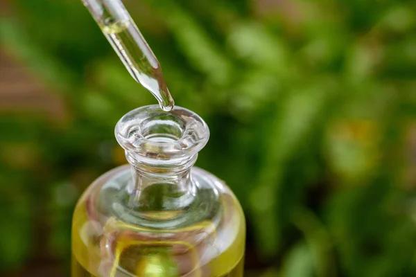 Important Factors to Compare Before Buying Hemp Products