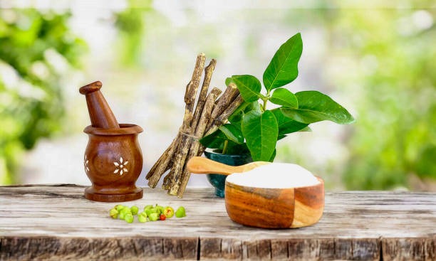 Essential Nutrition Habits for Better Overall Wellness