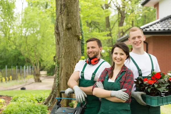 Commercial Landscaping Services for Attractive Business Properties