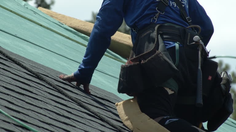 Get Professional Roofing Contractor Support for Your Next Home Improvement Project